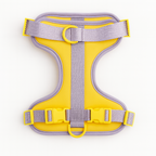 Arnés  | Aurore Duo