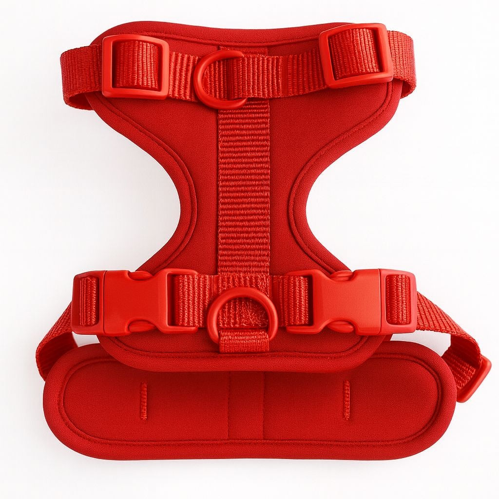 Arnés | Rouge Velours