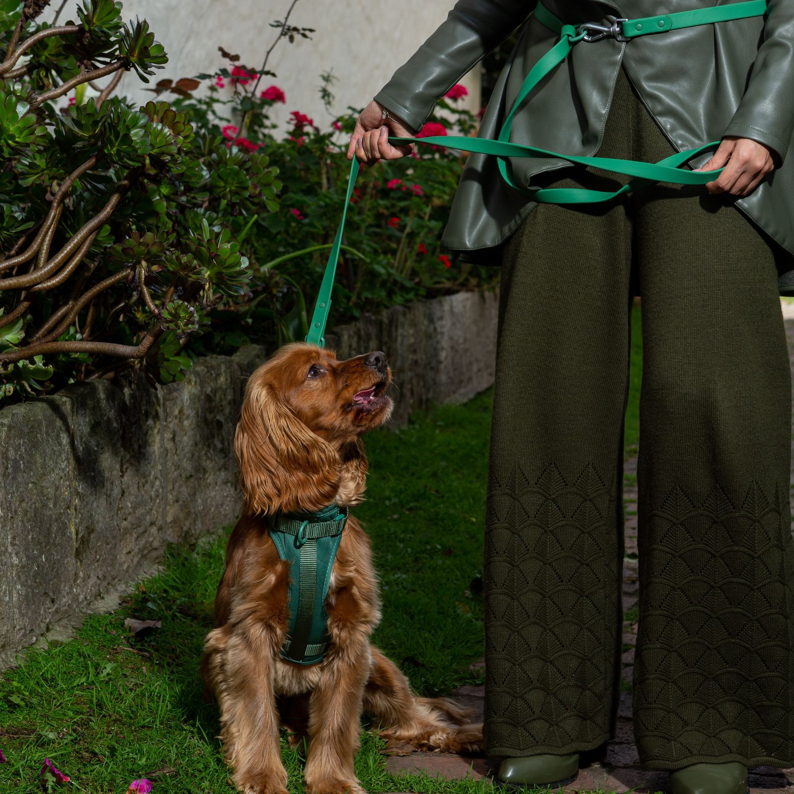 Correa | Vert Emeraude