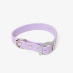 Collar | Améthyste