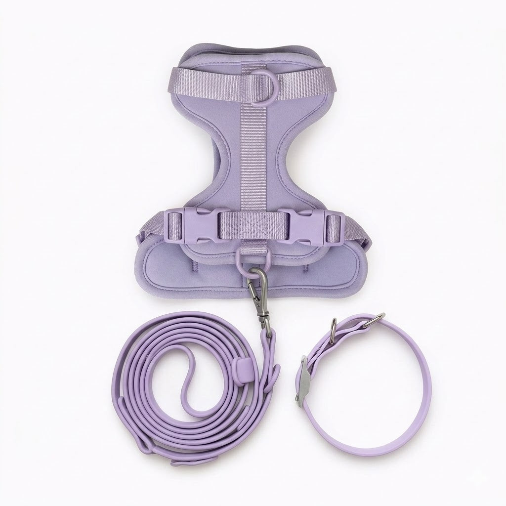 Promo Correa, Collar y Arnés  Amethyste