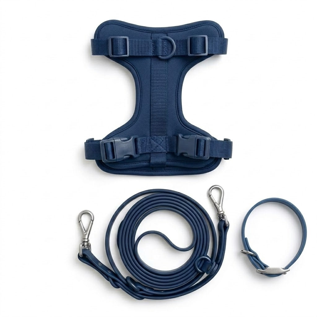 Promo Correa, Collar y Arnés  Bleu Minuit